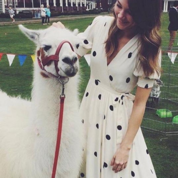 NWT Anthropologie Maeve Breanna Polka Dot Dress 8 - Picture 4 of 7